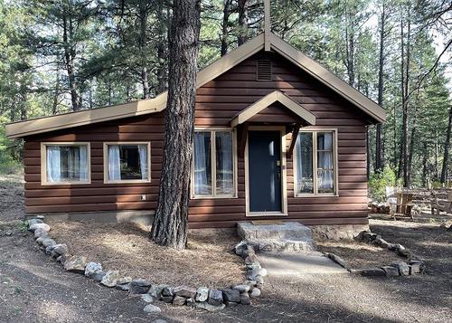 Pet Friendly Cabin on 3.5 acres between Durango and Purgatory - Fire Pit
