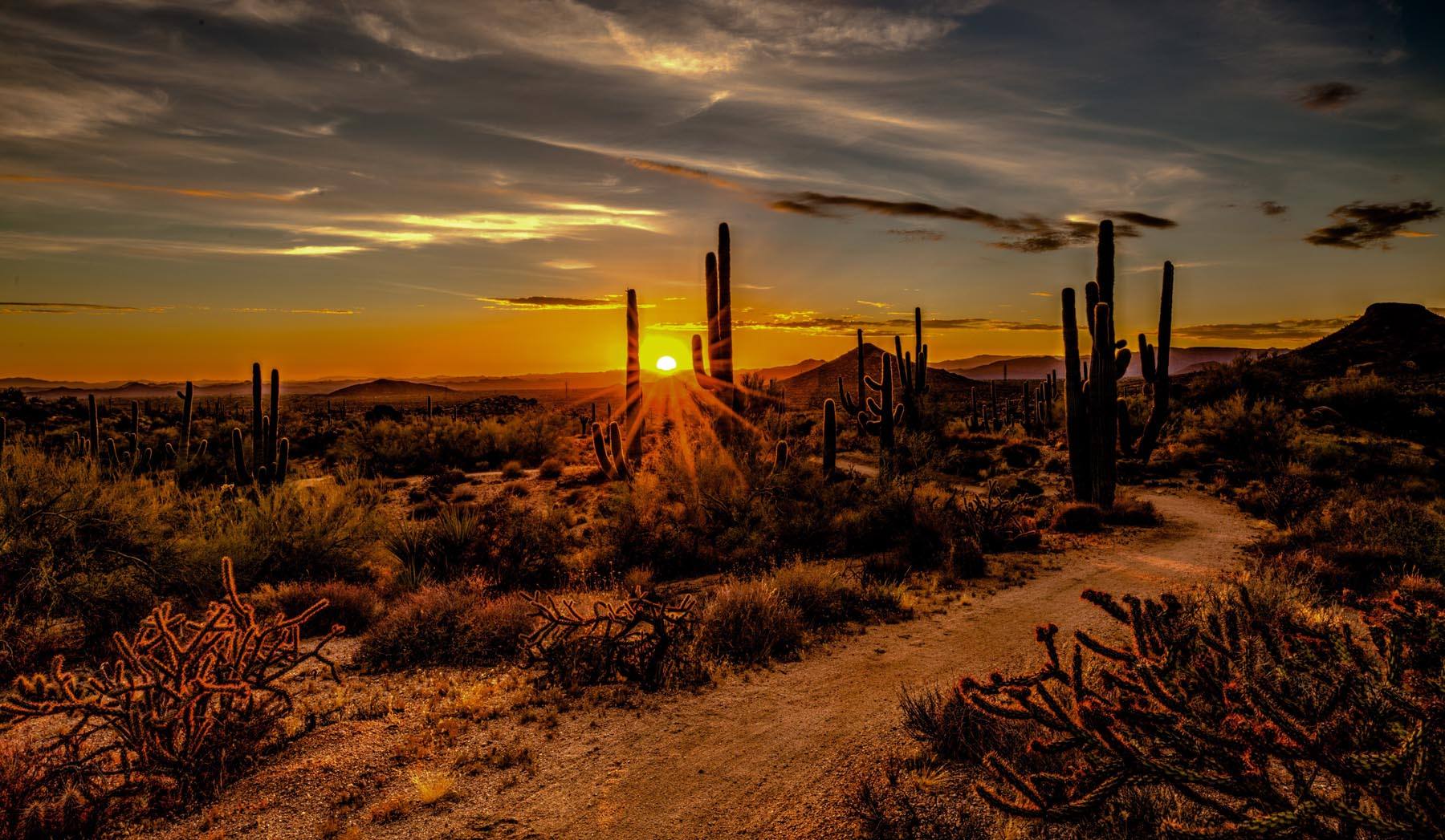 Phoenix & Scottsdale Sunset