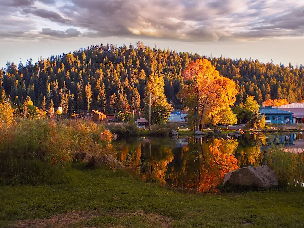 creede