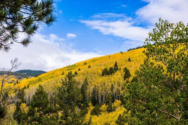 fall in santa fe