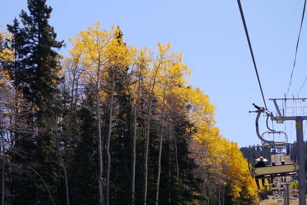 fall in santa fe